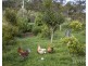 Lovedale NSW 2325