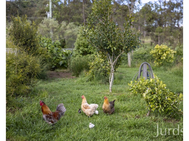 Lovedale NSW 2325