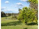 88 Quince Tree Lane, Congewai NSW 2325