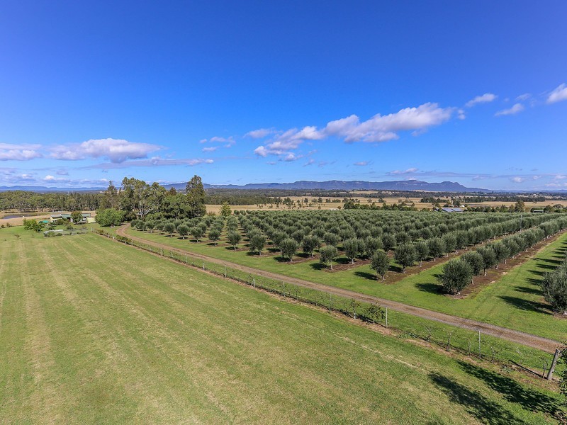 345 Talga Road, Lovedale NSW 2325