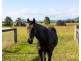 2490C New England Highway, Branxton NSW 2335
