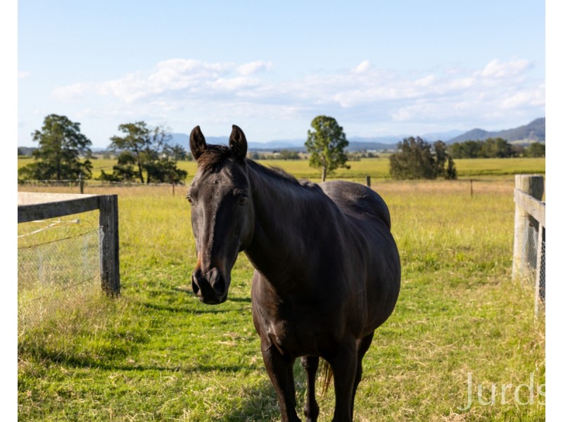 2490C New England Highway, Branxton NSW 2335