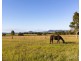 2490C New England Highway, Branxton NSW 2335