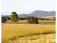 2490C New England Highway, Branxton NSW 2335
