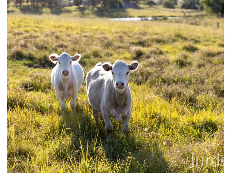 2490C New England Highway, Branxton NSW 2335