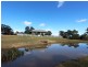 109 Blind Creek Road, Mitchells Flat NSW 2330