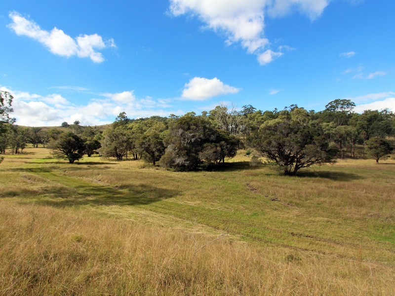 109 Blind Creek Road, Mitchells Flat NSW 2330