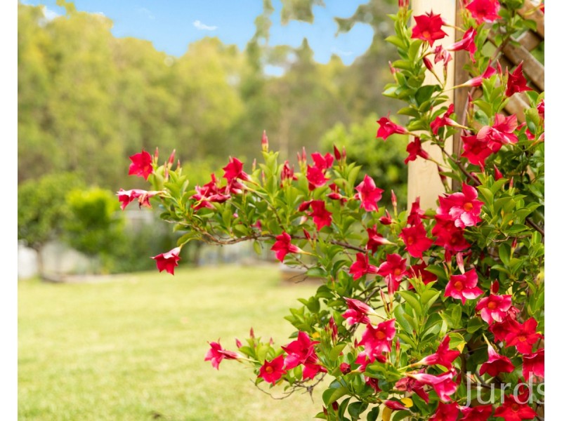 211 Wallaby Gully Road, Ellalong NSW 2325