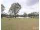 Homestead/656 Milbrodale Road, Broke NSW 2330