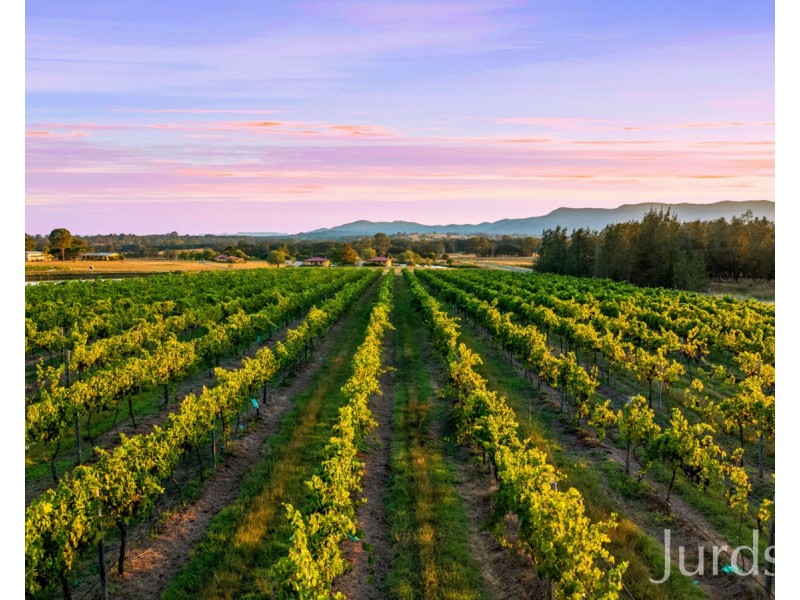 547 Old North Road, Pokolbin NSW 2320