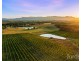 547 Old North Road, Pokolbin NSW 2320