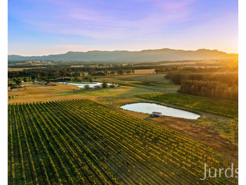 547 Old North Road, Pokolbin NSW 2320