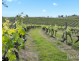 Lot 1 Mistletoe Lane, Pokolbin NSW 2320