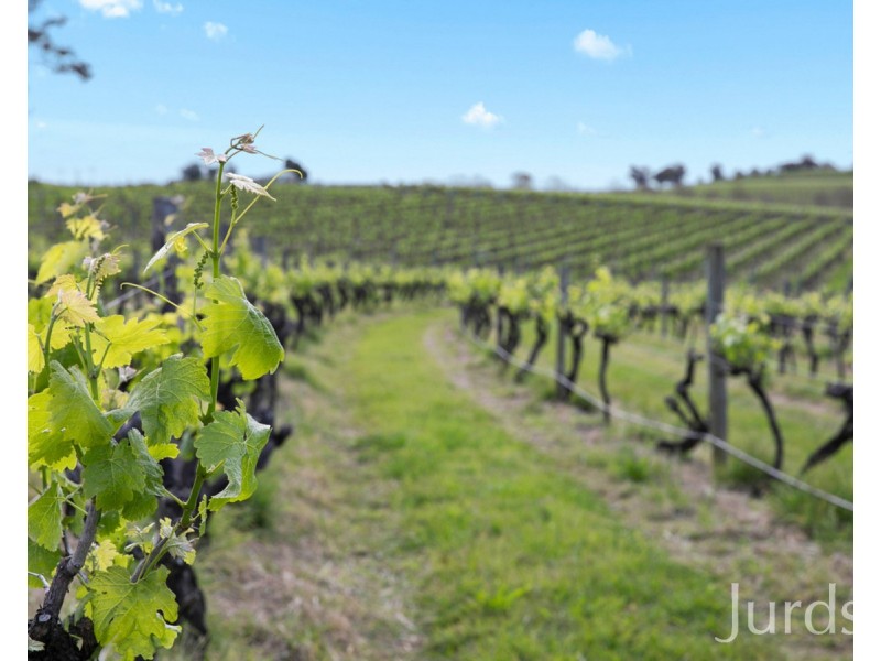Lot 1 Mistletoe Lane, Pokolbin NSW 2320