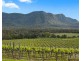 Lot 1 Mistletoe Lane, Pokolbin NSW 2320