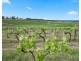 Lot 1 Mistletoe Lane, Pokolbin NSW 2320