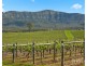 Lot 1 Mistletoe Lane, Pokolbin NSW 2320