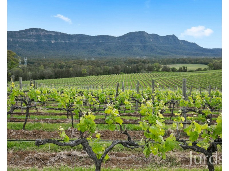 Lot 2 Mistletoe Lane, Pokolbin NSW 2320