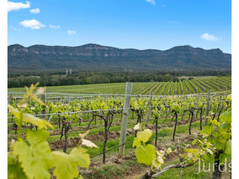 Lot 2 Mistletoe Lane, Pokolbin NSW 2320