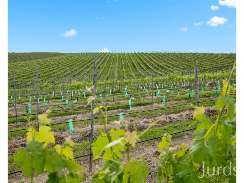 Lot 2 Mistletoe Lane, Pokolbin NSW 2320