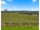 Lot 2 Mistletoe Lane, Pokolbin NSW 2320