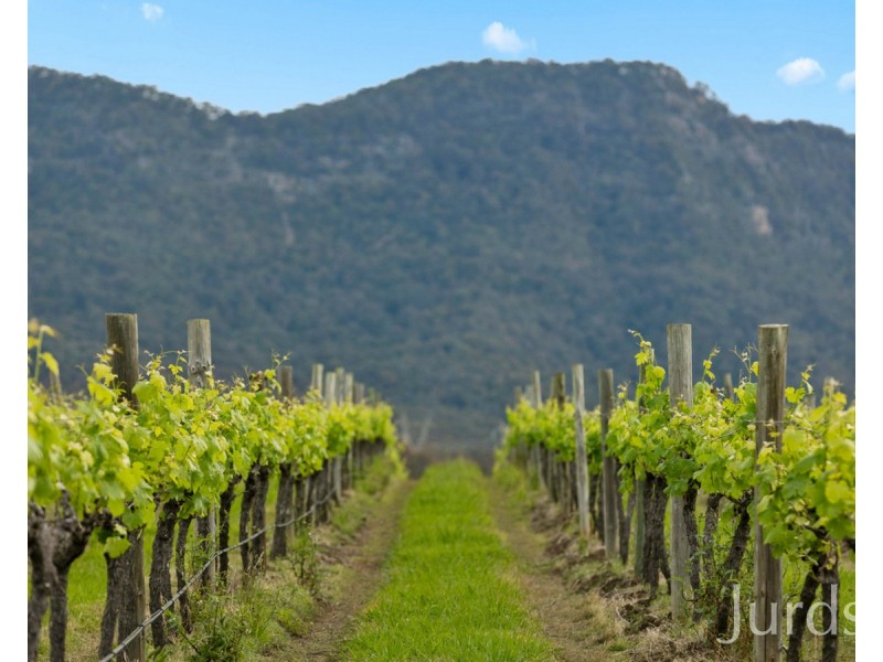 Lot 2 Mistletoe Lane, Pokolbin NSW 2320