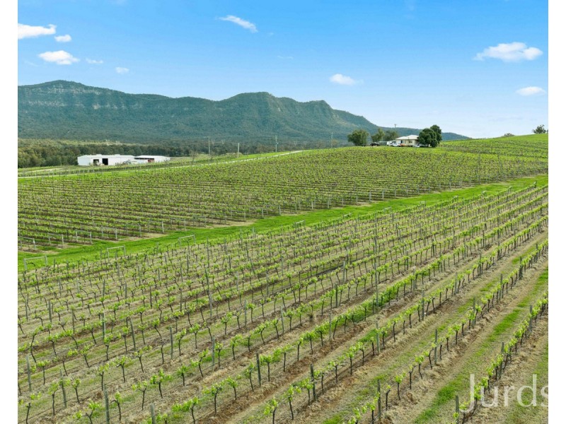 Lot 2 Mistletoe Lane, Pokolbin NSW 2320