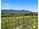 Lot 3 Mistletoe Lane, Pokolbin NSW 2320