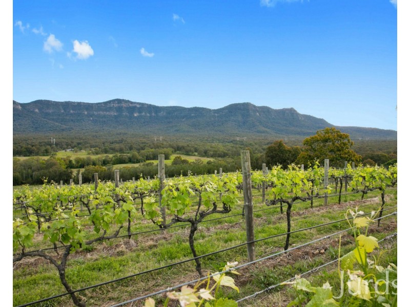Lot 3 Mistletoe Lane, Pokolbin NSW 2320