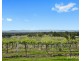 Lot 3 Mistletoe Lane, Pokolbin NSW 2320
