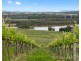 Lot 3 Mistletoe Lane, Pokolbin NSW 2320