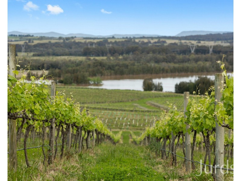 Lot 3 Mistletoe Lane, Pokolbin NSW 2320
