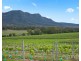 Lot 3 Mistletoe Lane, Pokolbin NSW 2320
