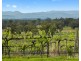 Lot 3 Mistletoe Lane, Pokolbin NSW 2320