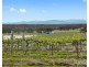Lot 3 Mistletoe Lane, Pokolbin NSW 2320