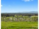 Lot 3 Mistletoe Lane, Pokolbin NSW 2320