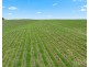 Lot 3 Mistletoe Lane, Pokolbin NSW 2320