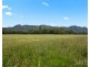 Lot 4 Mistletoe Lane, Pokolbin NSW 2320