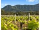 Lot 4 Mistletoe Lane, Pokolbin NSW 2320