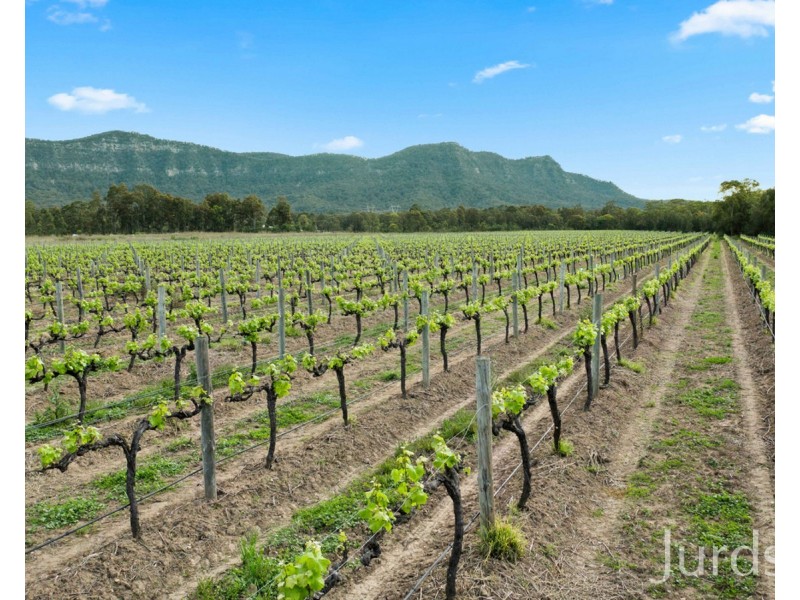 Lot 4 Mistletoe Lane, Pokolbin NSW 2320