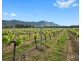 Lot 4 Mistletoe Lane, Pokolbin NSW 2320