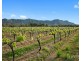 Lot 4 Mistletoe Lane, Pokolbin NSW 2320