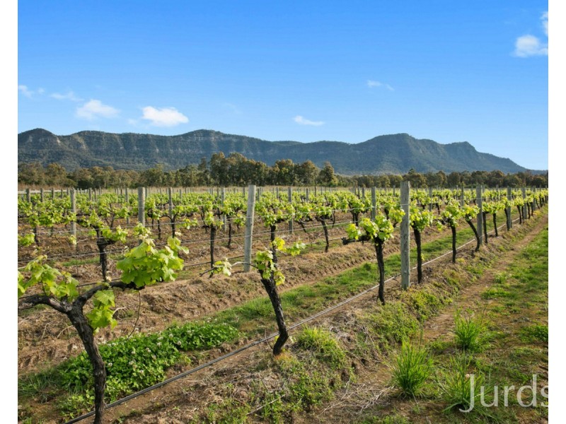 Lot 4 Mistletoe Lane, Pokolbin NSW 2320
