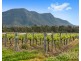 Lot 4 Mistletoe Lane, Pokolbin NSW 2320