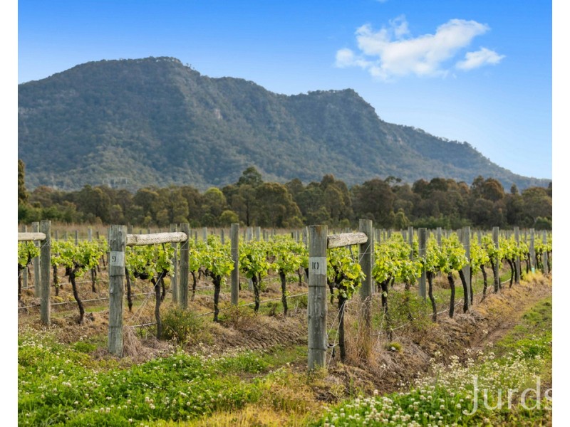 Lot 4 Mistletoe Lane, Pokolbin NSW 2320