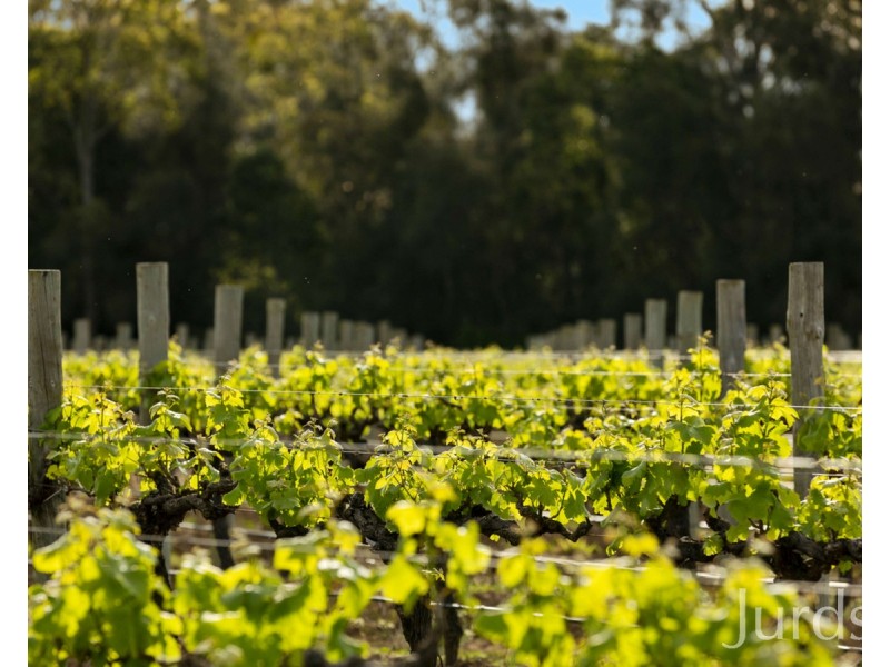 Lot 4 Mistletoe Lane, Pokolbin NSW 2320