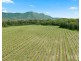 Lot 4 Mistletoe Lane, Pokolbin NSW 2320