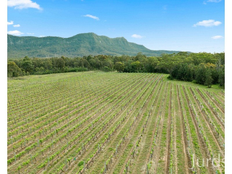 Lot 4 Mistletoe Lane, Pokolbin NSW 2320