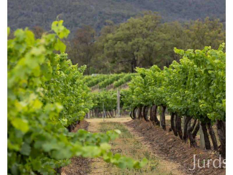 656 Milbrodale Road, Broke NSW 2330