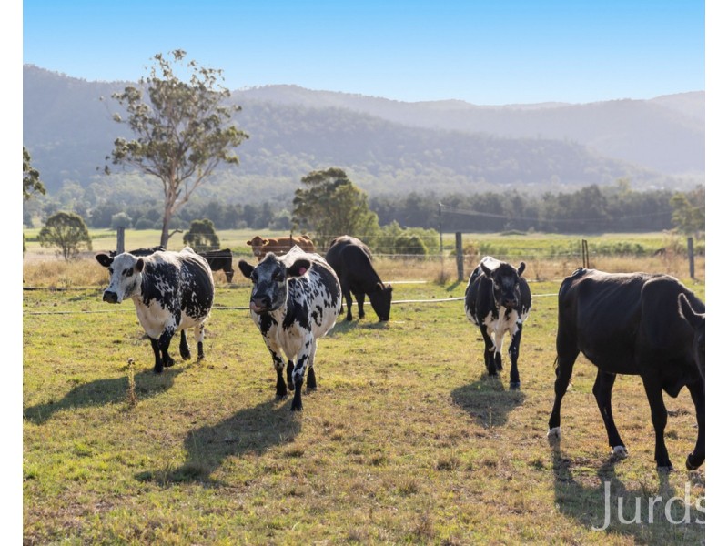 15 Rodd Street, Broke NSW 2330